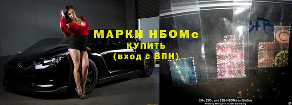 прущие грибы Баксан