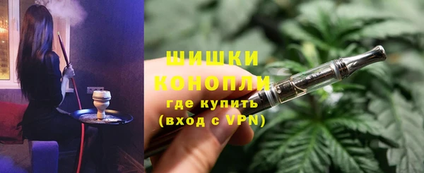 прущие грибы Баксан