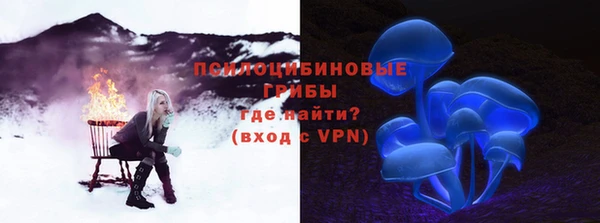прущие грибы Баксан