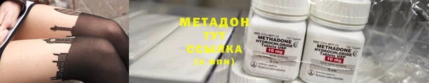 прущие грибы Баксан