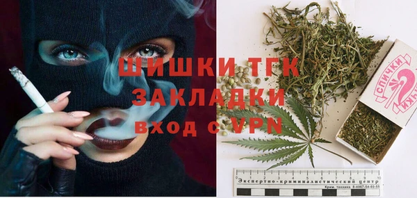 индика Белоозёрский