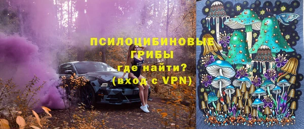 индика Белоозёрский